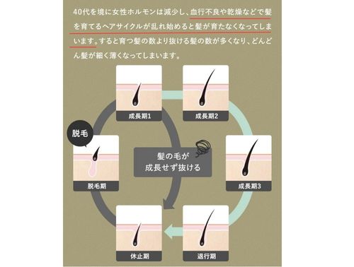 グロービオヘアサイクル